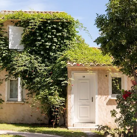 Vignale 기소나키아