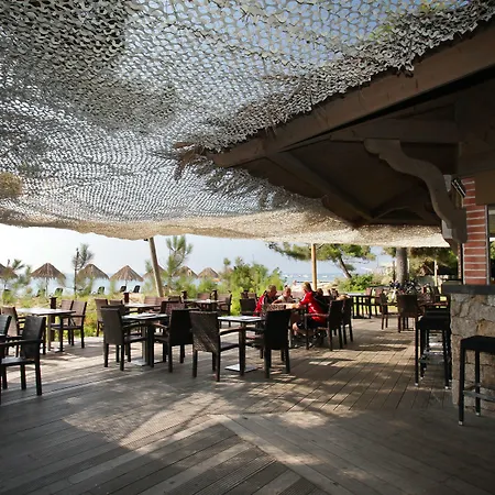 Vignale 4* 기소나키아