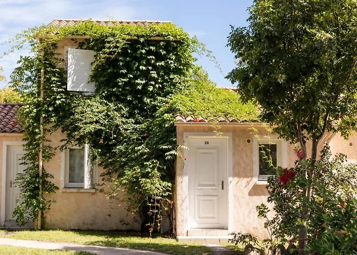 Vignale גהיסונאצ'יה