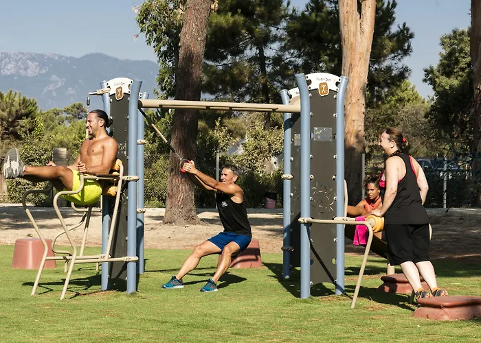 Vignale גהיסונאצ'יה