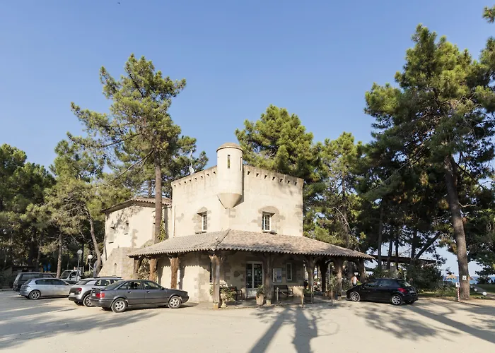 Vignale גהיסונאצ'יה