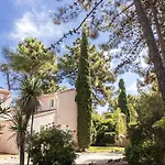 Vignale 4*